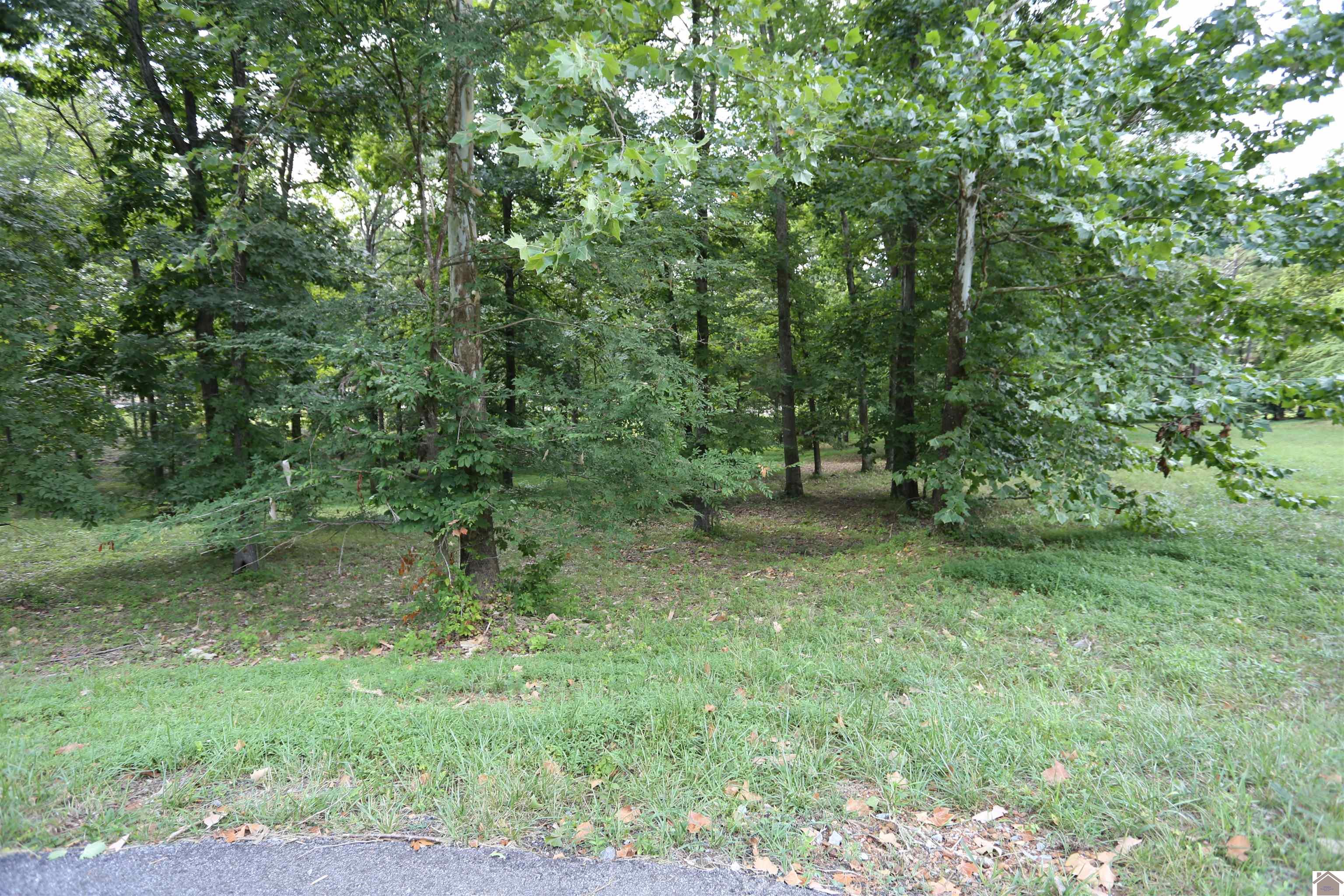 Lot #3 Pine View Drive