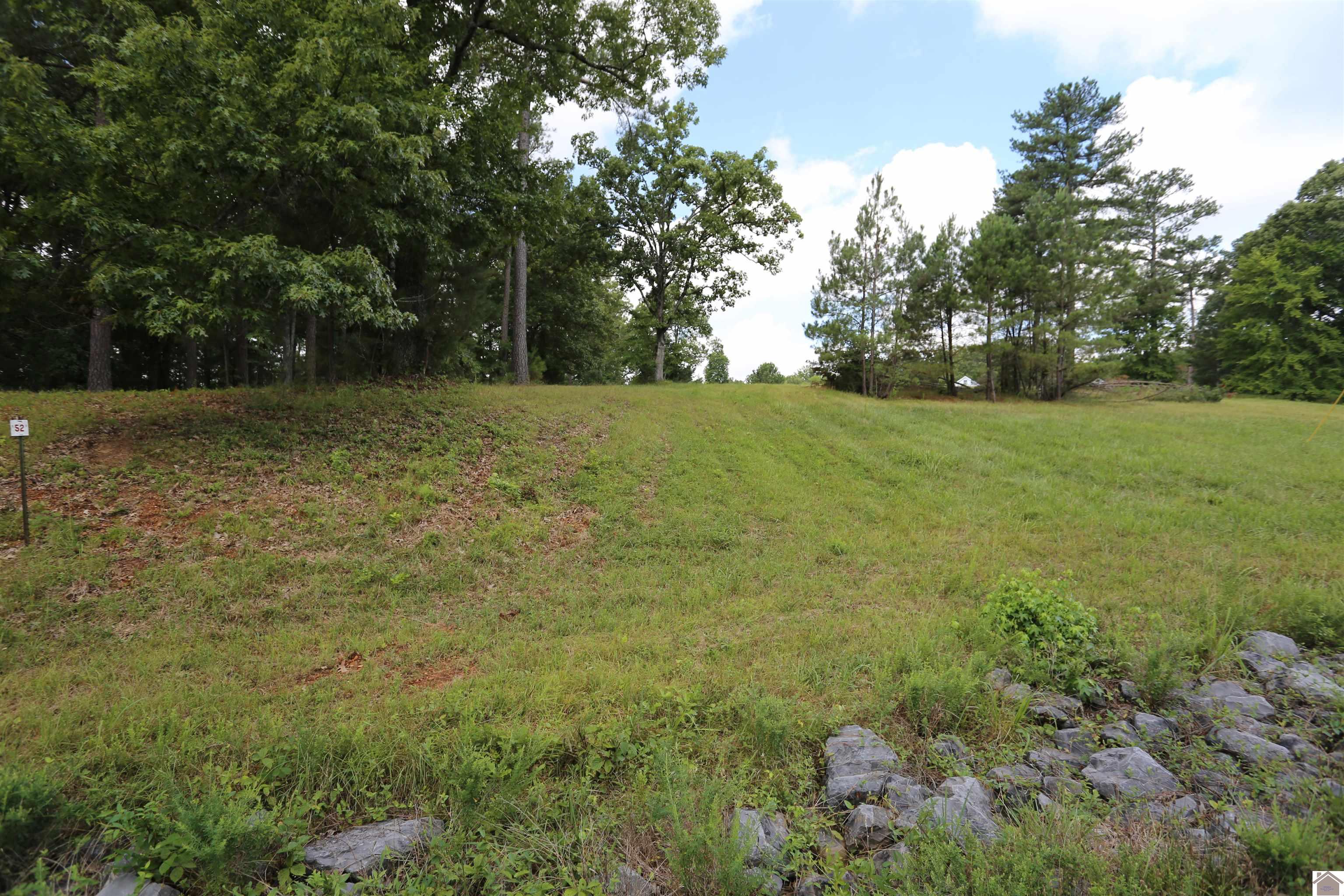 Lot #52 Doe Valley Drive