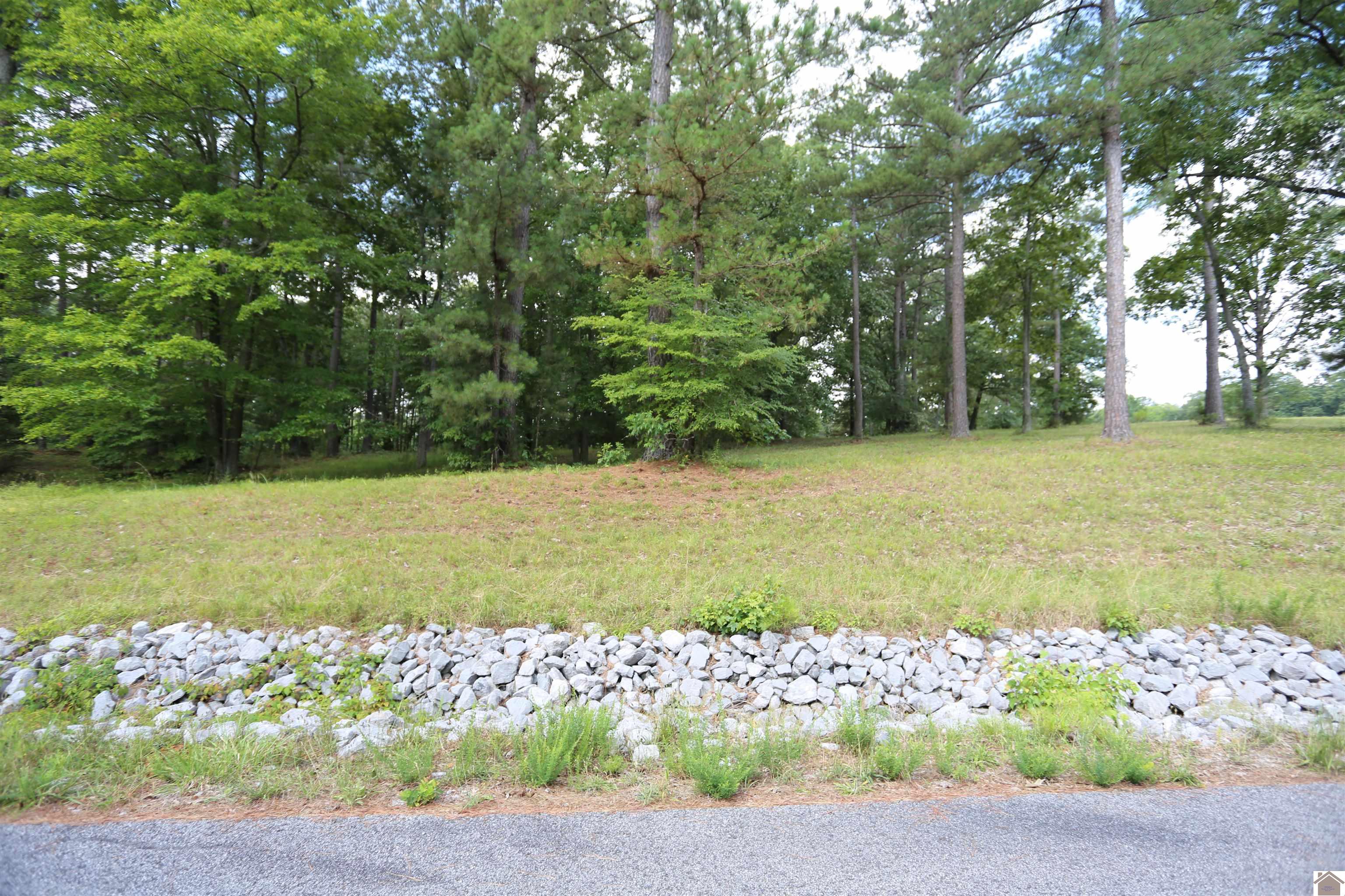 Lot #51 Doe Valley Drive
