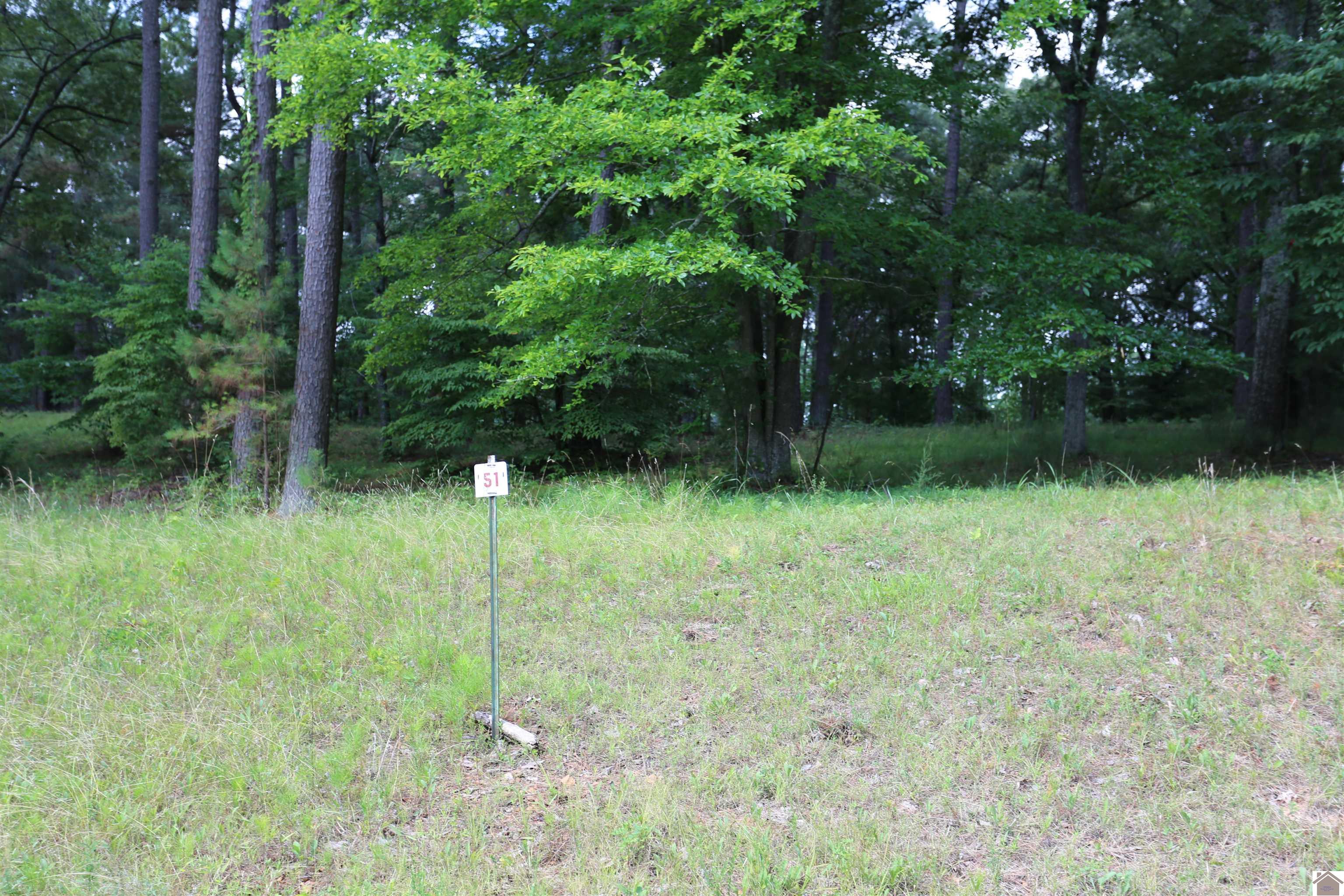 Lot #51 Doe Valley Drive