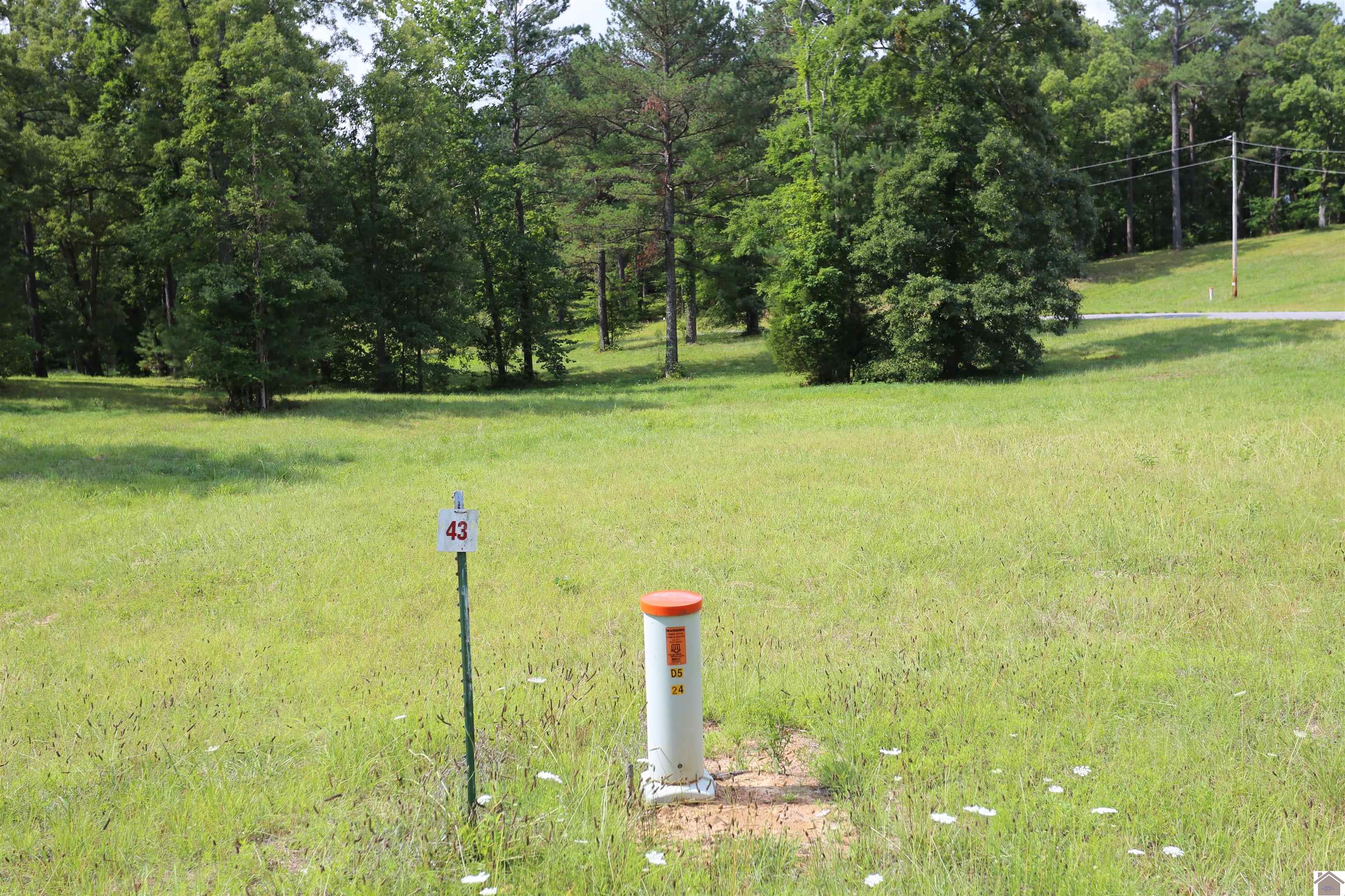 Lot #43 Pine View Drive