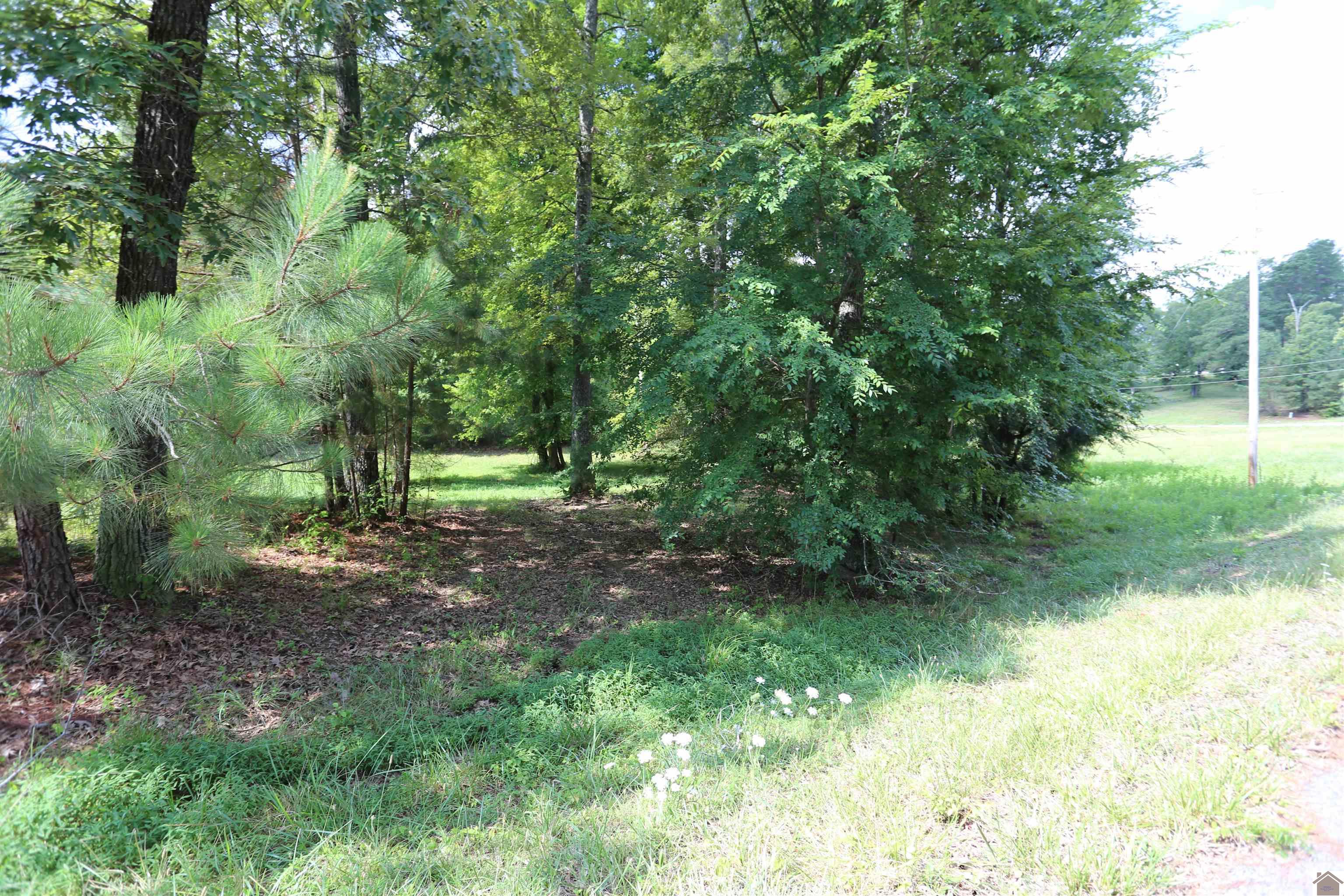 Lot #41 Pine View Drive