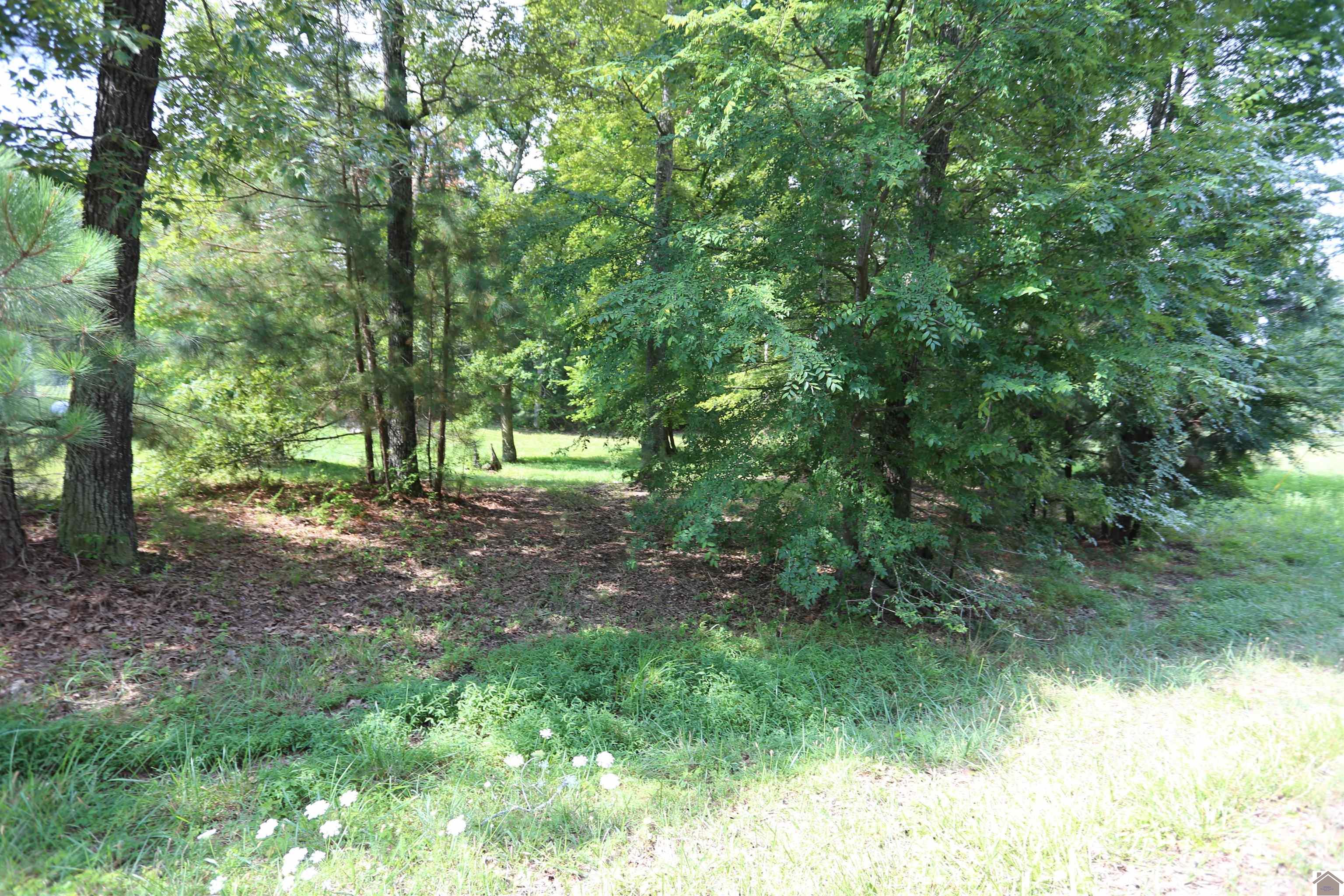 Lot #41 Pine View Drive