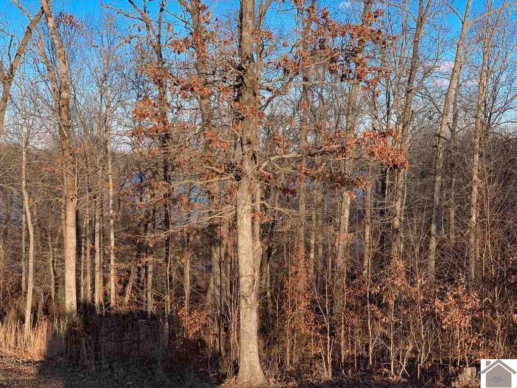 Lot 14 Yacht Ln