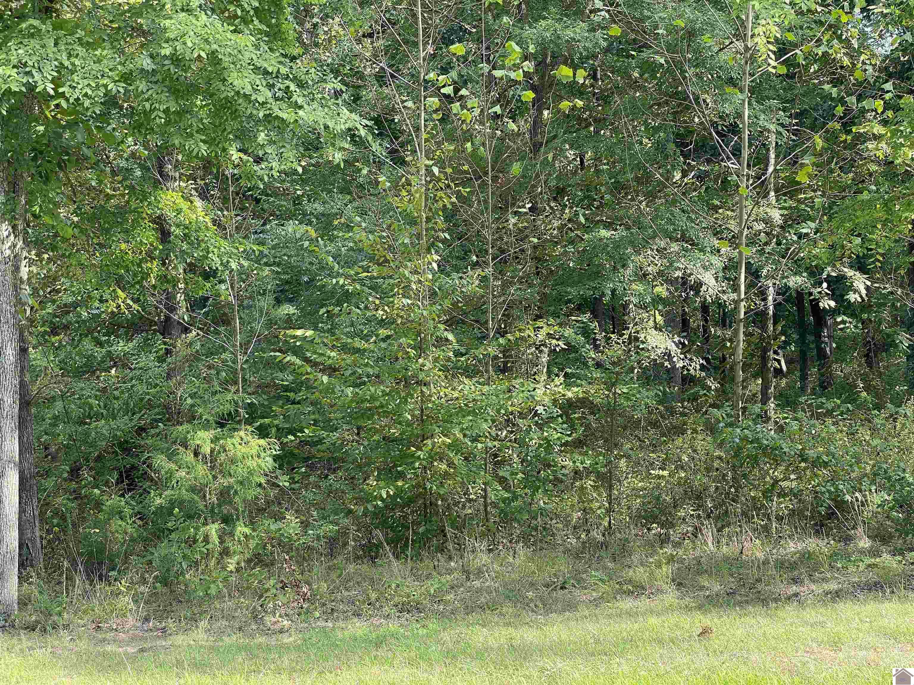 Lot 14 Yacht Ln
