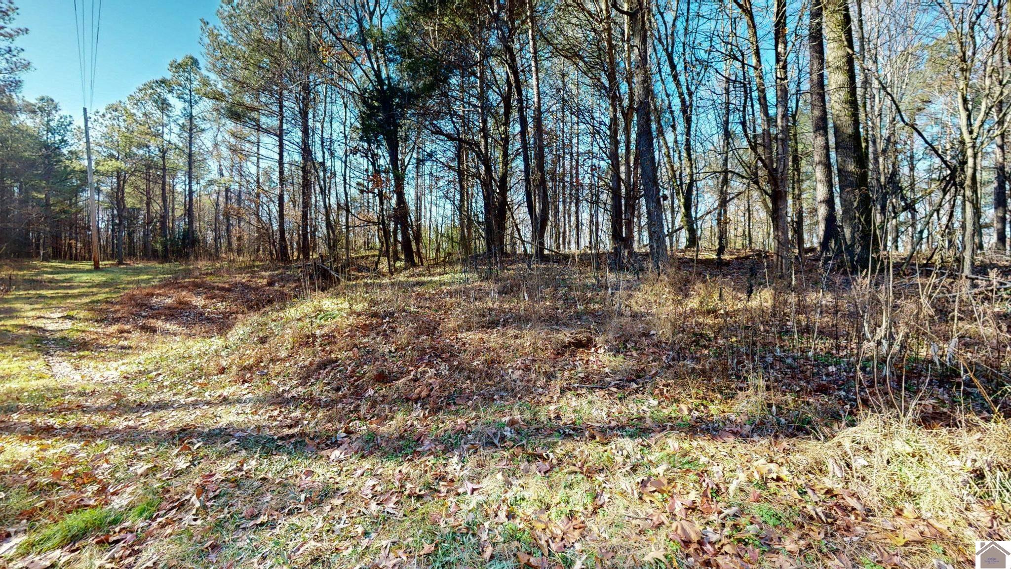 Protemus Road