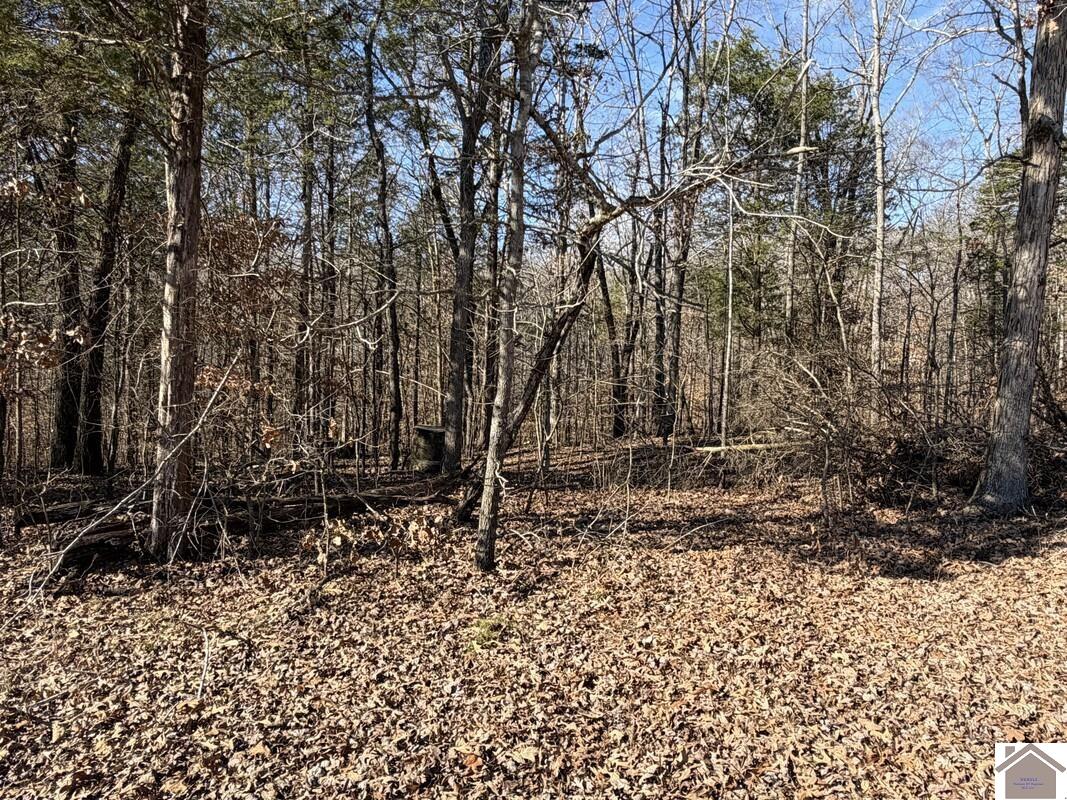 Lot 46 Bayridge Road