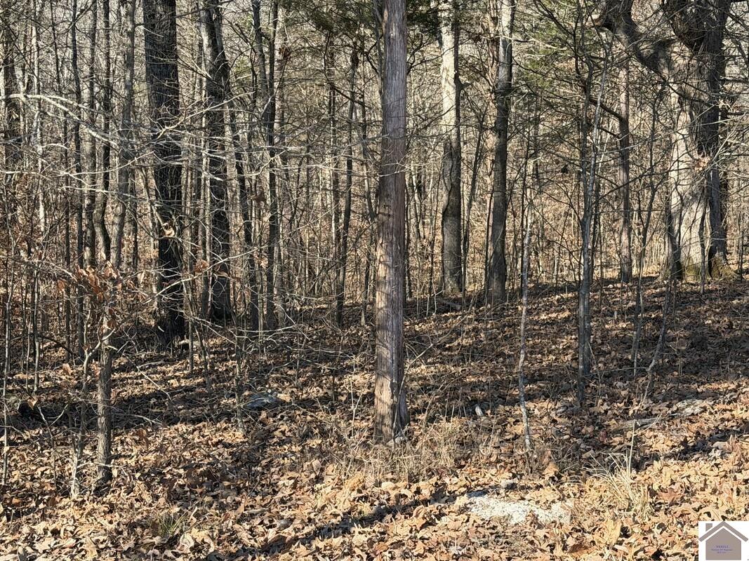 Lot 46 Bayridge Road
