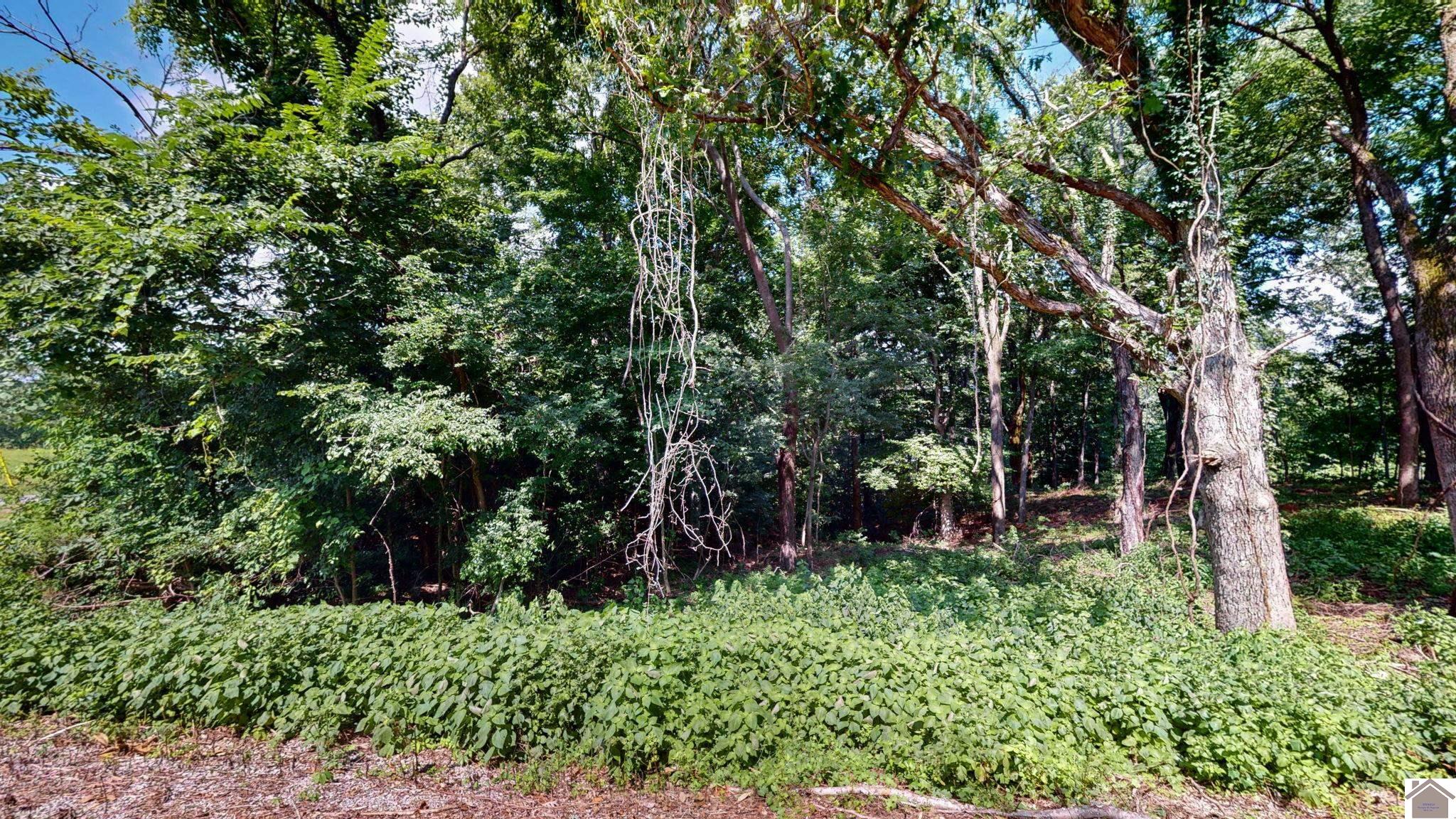 Lot 138 Crystal Creek Circle