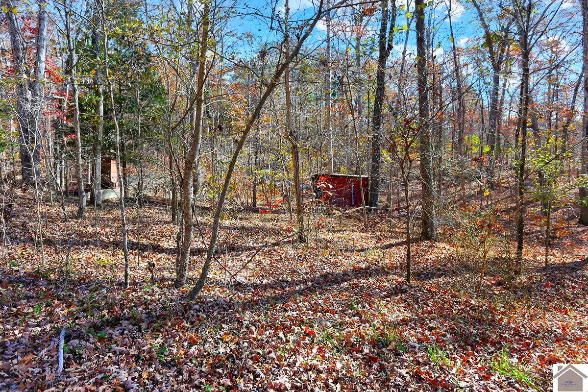 60 Fogarty Drive