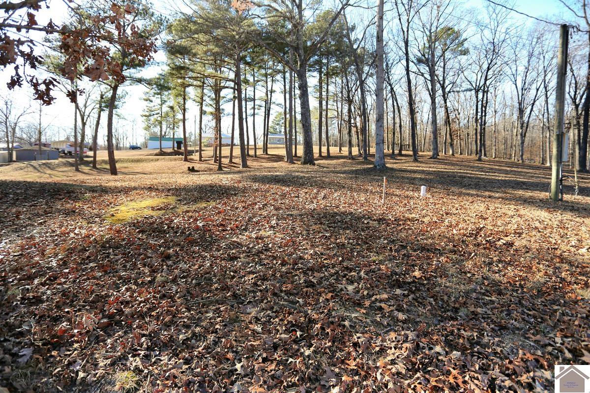 2488 Cypress Trail