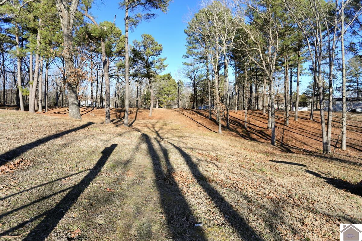 2488 Cypress Trail