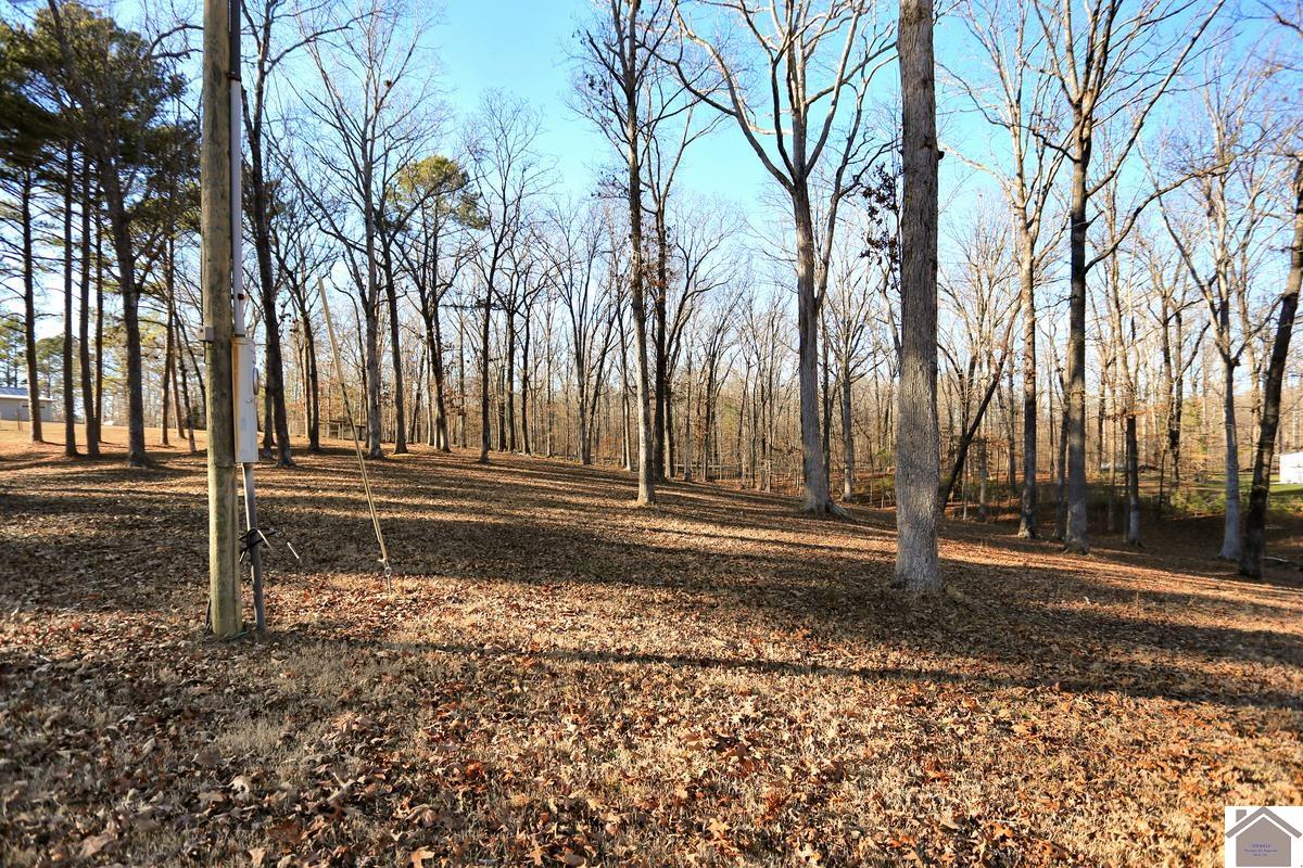 2488 Cypress Trail