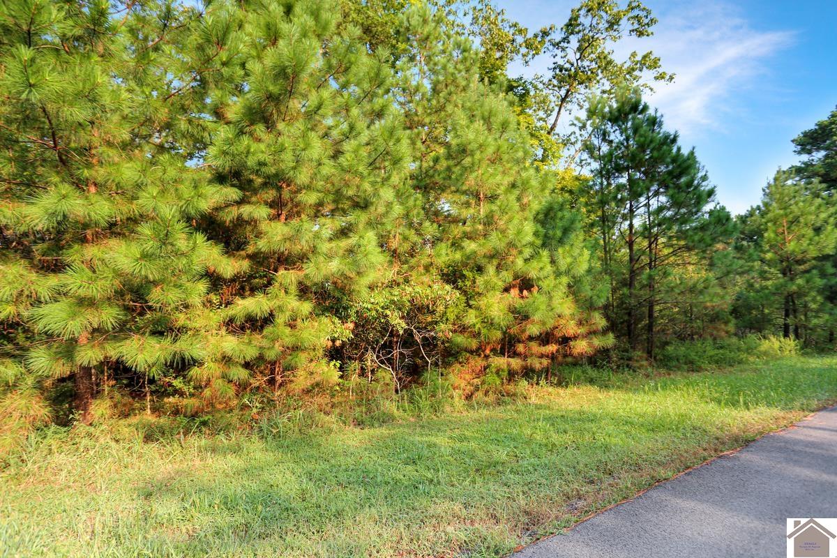 Lot 100 Western Drive