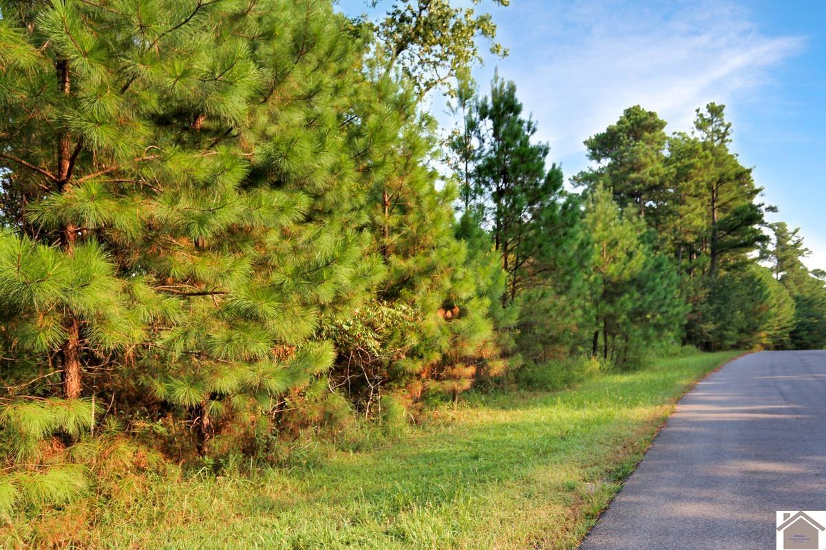 Lot 100 Western Drive