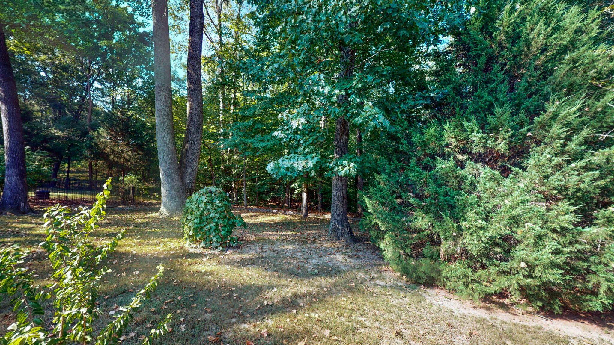 81 Woodridge Lane