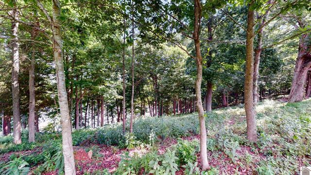 Lot 138 Crystal Creek Drive