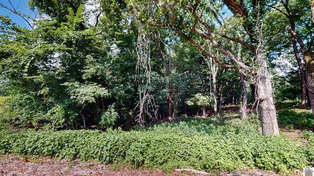 Lot 138 Crystal Creek Drive