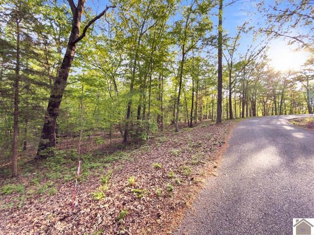 Lot 19 & 20 Post Oak Road