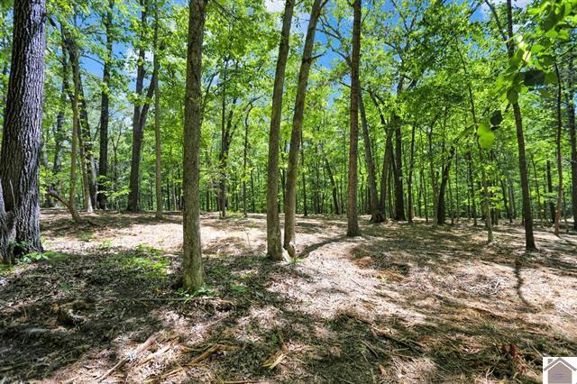 Lot 19 & 20 Post Oak Road