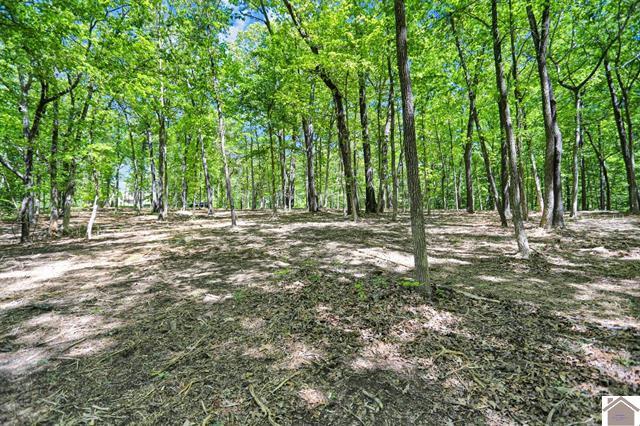 Lot 19 & 20 Post Oak Road