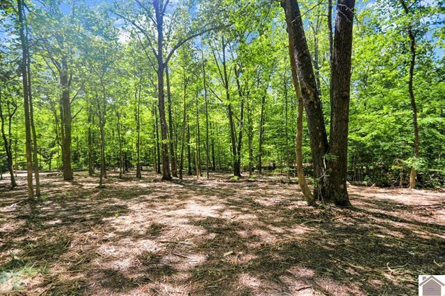 Lot 19 & 20 Post Oak Road