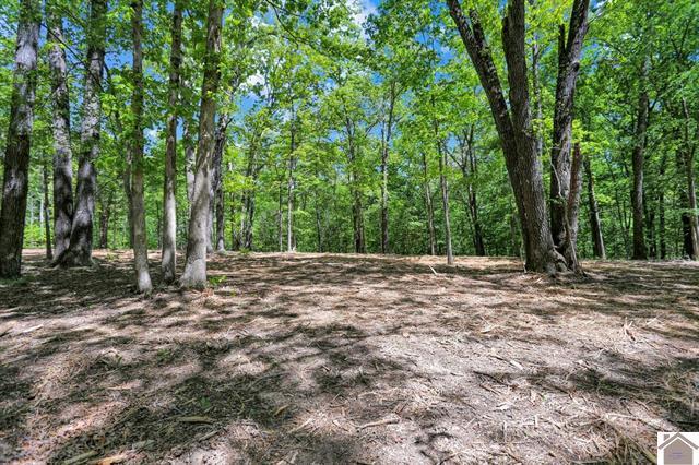 Lot 19 & 20 Post Oak Road