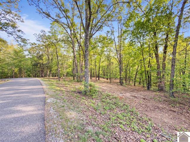 Lot 19 & 20 Post Oak Road