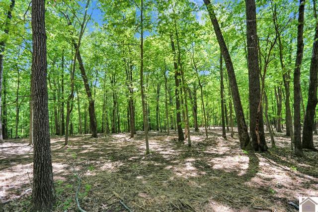 Lot 19 & 20 Post Oak Road