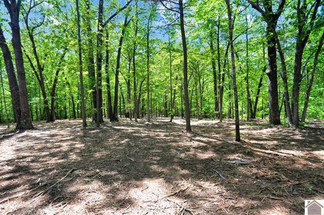 Lot 19 & 20 Post Oak Road