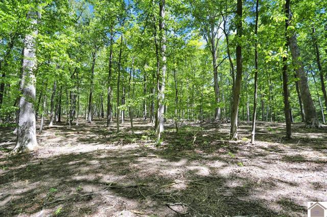Lot 19 & 20 Post Oak Road