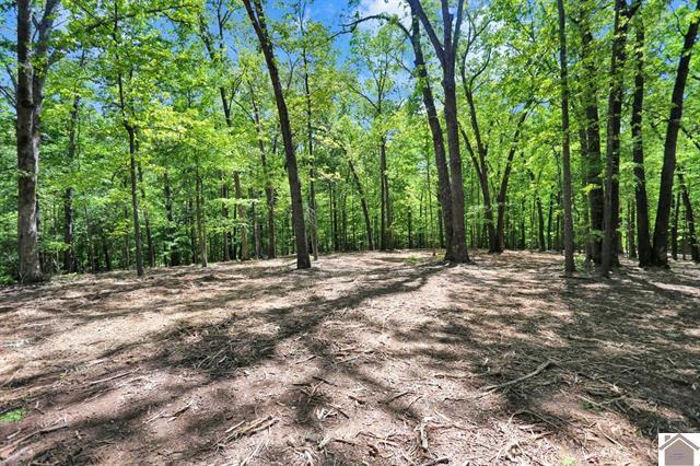 Lot 19 & 20 Post Oak Road