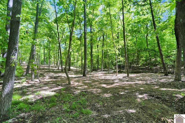 Lot 19 & 20 Post Oak Road