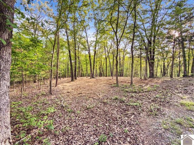 Lot 19 & 20 Post Oak Road