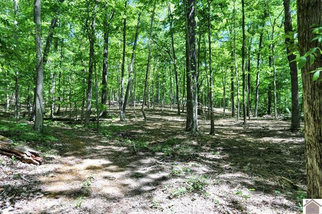 Lot 19 & 20 Post Oak Road