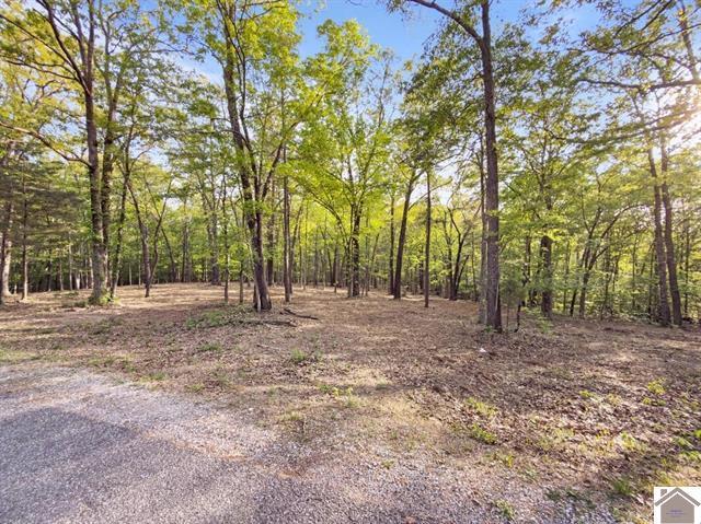 Lot 19 & 20 Post Oak Road