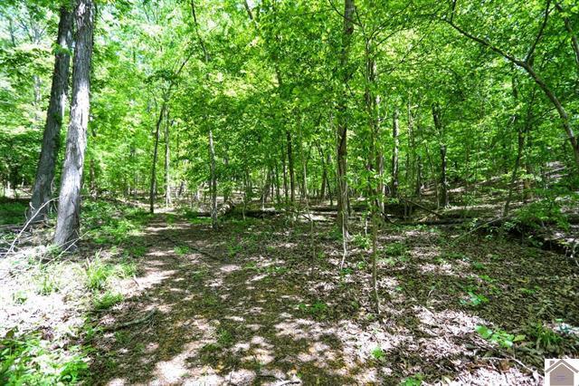 Lot 19 & 20 Post Oak Road