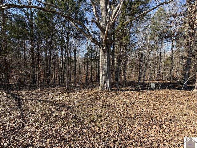 Lot 46 Bayridge Road