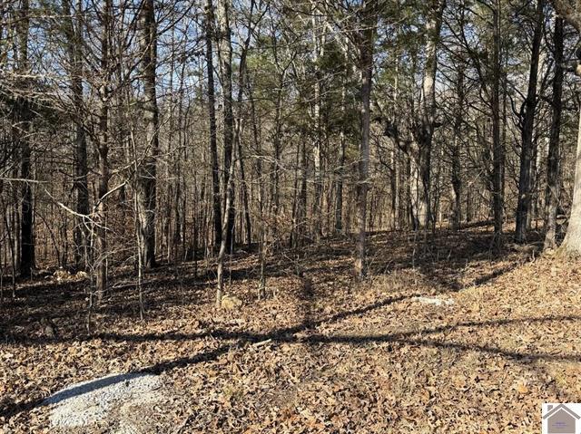 Lot 46 Bayridge Road