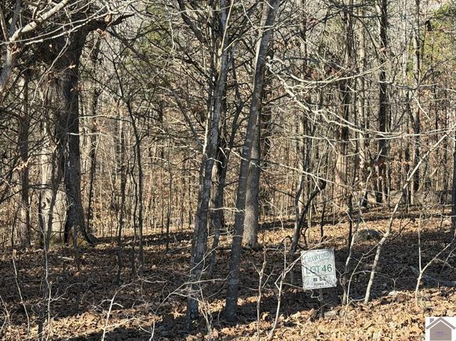 Lot 46 Bayridge Road