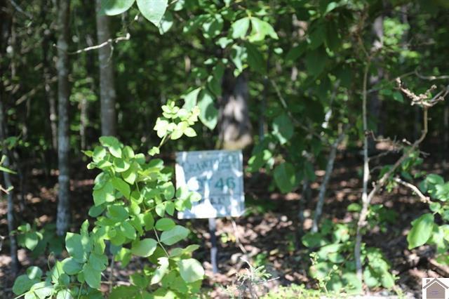 Lot 46 Bayridge Road
