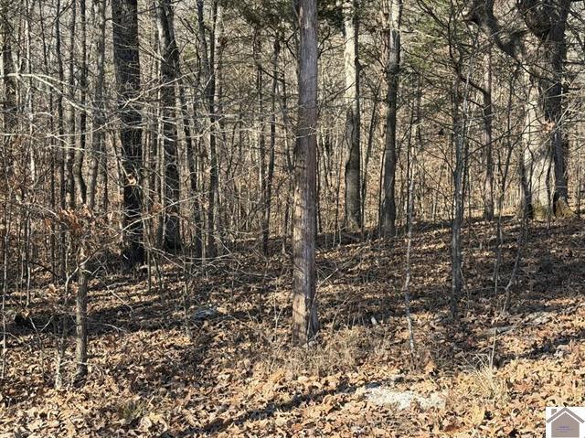 Lot 46 Bayridge Road
