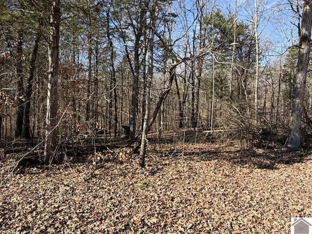 Lot 46 Bayridge Road