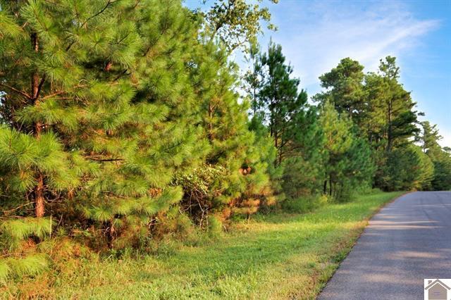 Lot 100 Western Drive