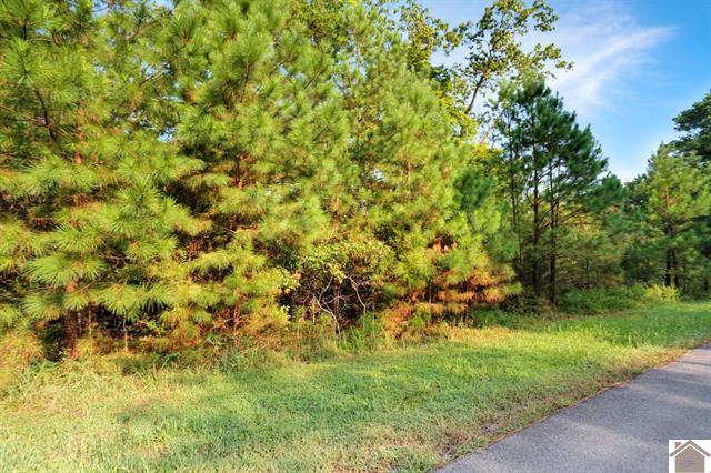 Lot 100 Western Drive
