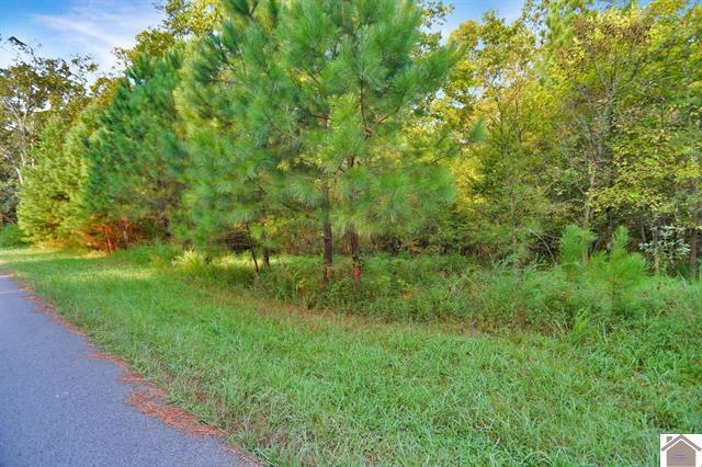Lot 100 Western Drive