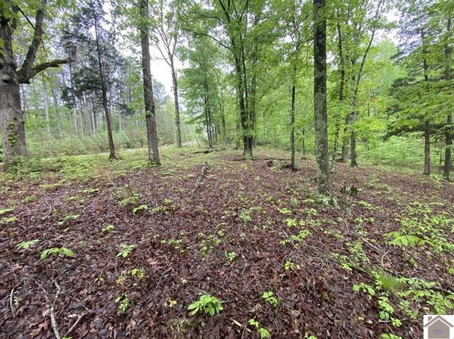 Lot 100 Western Drive
