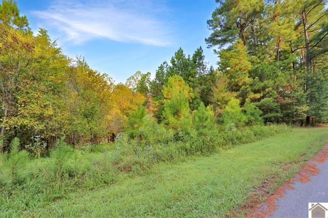 Lot 100 Western Drive