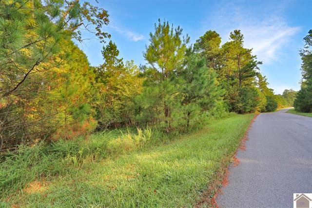 Lot 100 Western Drive