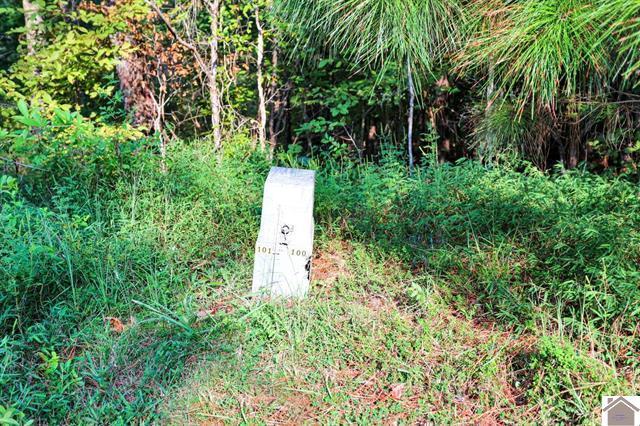Lot 100 Western Drive